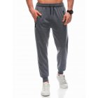 Men's sweatpants P1459 - grey